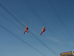 ジップ・ライン