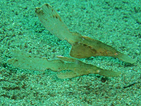 �J�~�\���E�I