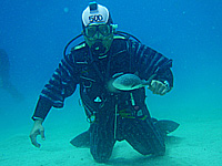 500�{�L�O �r���_�C�o�[�Ǝq�W���x�C�H