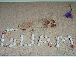 �O�A����`�ɓ\���Ă������|�X�^�[