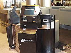 �����`�F�b�N�C��