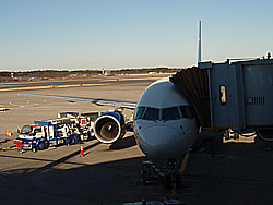 �f���^�q�� DL290��