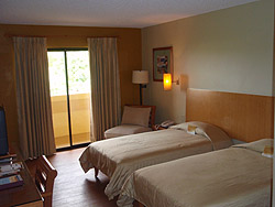 �x�b�g���[��