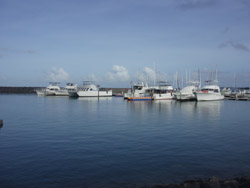 �A�K�b�g�}���[�i