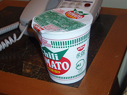  ����̃V��