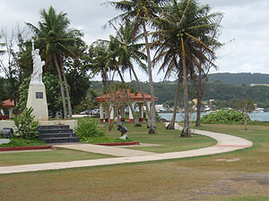 �p�Z�I����