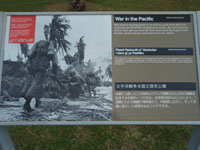 �p�l���W��