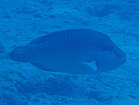 �i�|���I��