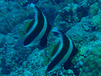 �~�i�~�n�^�^�e�_�C