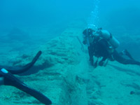 �T���S���Ƃ��Ă����ꂢ�I