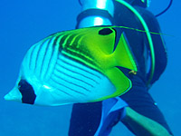 �g�Q�`���E�`���E�E�I