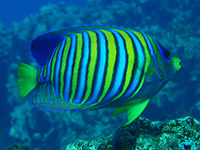 �j�V�L���b�R