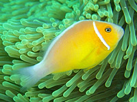 �n�i�r���N�}�m�~