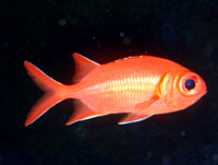 �x�j�}�c�J�T