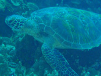 �A�I�E�~�K��