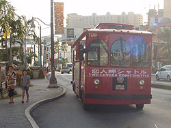 ���l���V���g��