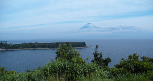 1407 ���A��_�C�u �吣��