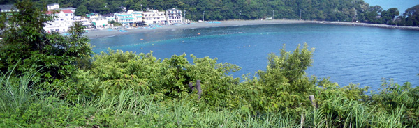 1407 ���A��_�C�u �吣��