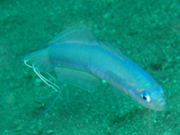 ����ꂽ���H