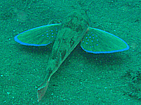 ����ꂽ���H