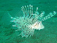 ����ꂽ���H