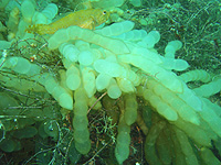 ����ꂽ���H