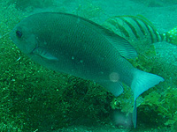 ����ꂽ���H