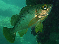 ����ꂽ���H