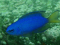 ����ꂽ���H