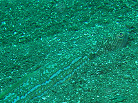 ����ꂽ���H