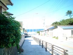 前浜に続く道