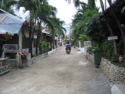 �p�i�O�T�}�r�[�`�̃��C���X�g���[�g