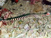 �A�J�N�N�� 