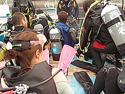 足ひれを履いてスタンバイ