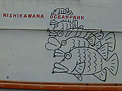 �D�ɂ̓q�Q�_�C�̃C���X�g