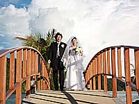 �z�e�����ōs�Ȃ�ꂽ �B�e