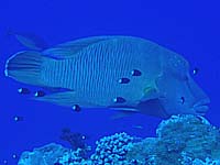 �i�|���I��