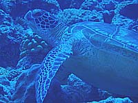 �A�I�E�~�K��