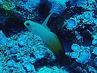 �A�P�{�m�n�[