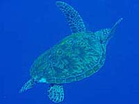 �J������o��I�I