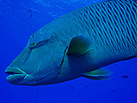 �i�|���I��