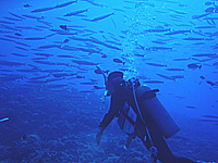 �I�I���J�}�X