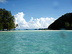 ����������