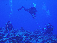 �J�����g�t�b�N���K���I