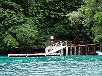 �����̎V��