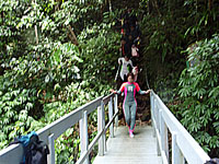 �悤�₭�����ł��B