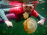 �W�F���[�t�B�b�V��