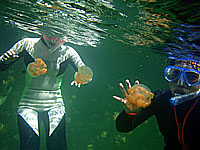 �W�F���[�t�B�b�V��