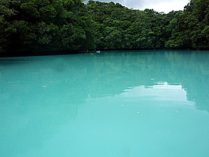 �~���L�[�E�F�C