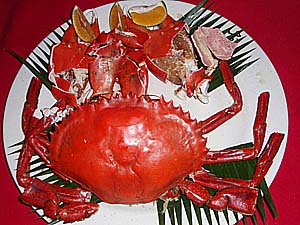 ファーストバイトの儀式?